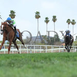 Yankee Dollar - Queen Of The Green 03 - 14 - 24 R09 Turf Paradise Under Rail