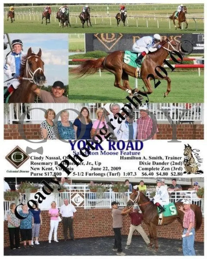 York Road - Sandston Moose Feature 6 22 2009 Colonial Downs