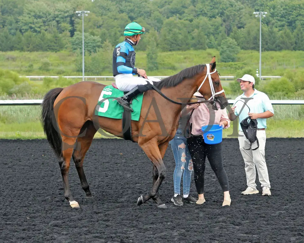 Youalmosthadme - The Lady Erie Stakes 5Th Running 08-05-24 R06 Pid Comeback 02 Presque Isle Downs