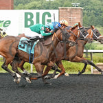 Youalmosthadme - The Lady Erie Stakes 5Th Running 08-05-24 R06 Pid Finish Presque Isle Downs