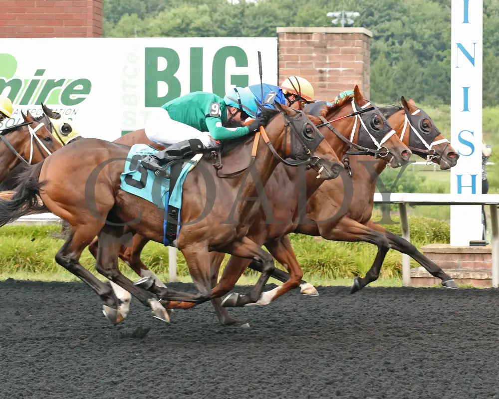 Youalmosthadme - The Lady Erie Stakes 5Th Running 08-05-24 R06 Pid Finish Presque Isle Downs