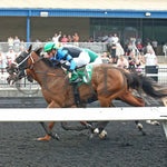 Youalmosthadme - The Lady Erie Stakes 5Th Running 08-05-24 R06 Pid Inside Finish Presque Isle Downs