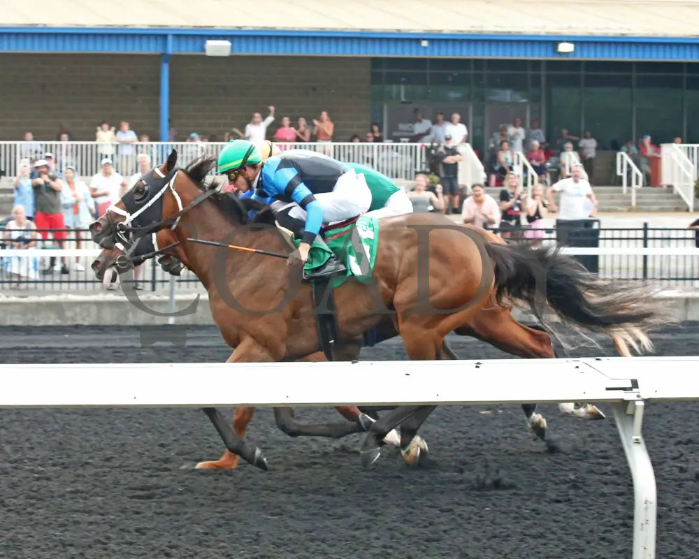 Youalmosthadme - The Lady Erie Stakes 5Th Running 08-05-24 R06 Pid Inside Finish Presque Isle Downs