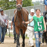 Youalmosthadme - The Lady Erie Stakes 5Th Running 08-05-24 R06 Pid Paddock 02 Presque Isle Downs