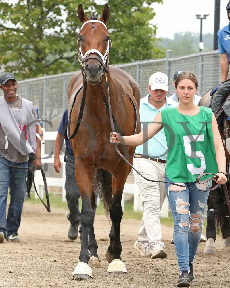 Youalmosthadme - The Lady Erie Stakes 5Th Running 08-05-24 R06 Pid Paddock 02 Presque Isle Downs