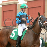 Youalmosthadme - The Lady Erie Stakes 5Th Running 08-05-24 R06 Pid Paddock 04 Presque Isle Downs