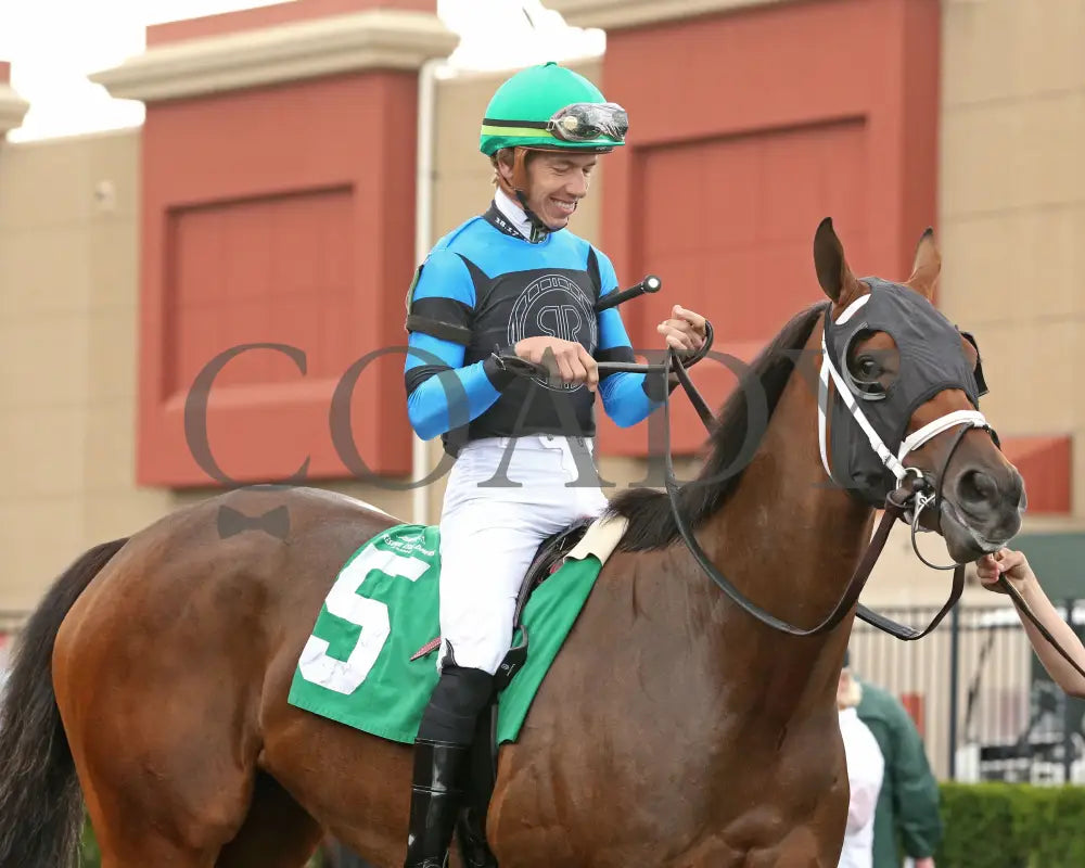 Youalmosthadme - The Lady Erie Stakes 5Th Running 08-05-24 R06 Pid Paddock 04 Presque Isle Downs