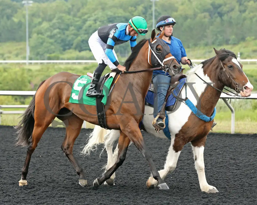 Youalmosthadme - The Lady Erie Stakes 5Th Running 08-05-24 R06 Pid Post Parade Presque Isle Downs