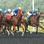 Youalmosthadme - The Lady Erie Stakes 5Th Running 08-05-24 R06 Pid Tight Finish Presque Isle Downs