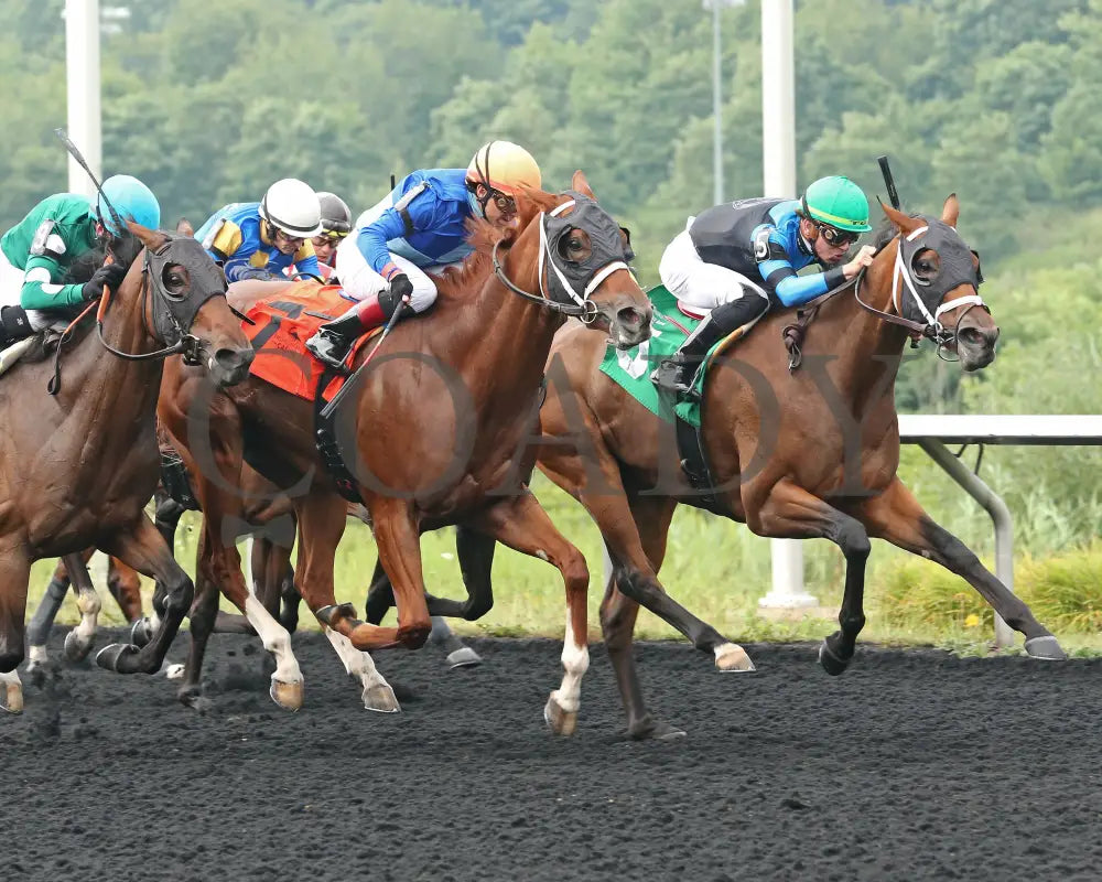 Youalmosthadme - The Lady Erie Stakes 5Th Running 08-05-24 R06 Pid Tight Finish Presque Isle Downs