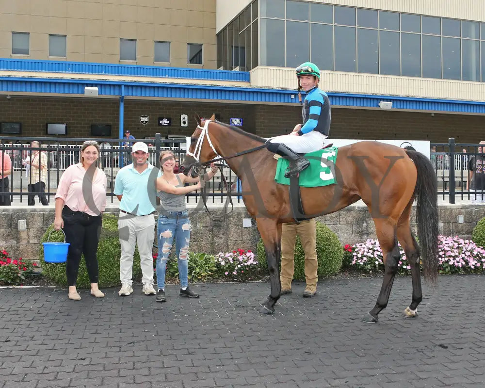 Youalmosthadme - The Lady Erie Stakes 5Th Running 08-05-24 R06 Pid Winner’s Circle Presque Isle