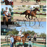 Your Ringer - 03 - 21 - 24 R05 Tup Turf Paradise