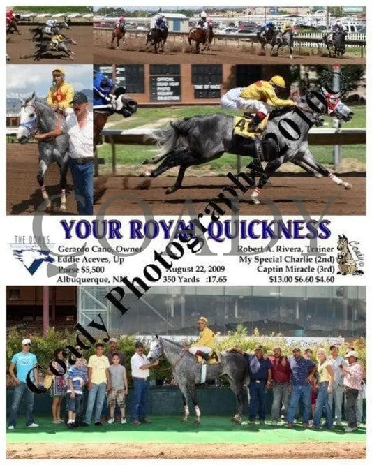 Your Royal Quickness - 8 22 2009 Downs At Albuquerque