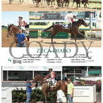 Zeca Diabo - 09-15-24 R03 Cd Churchill Downs