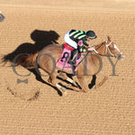 Zeitlos - Carousel Stakes 45Th Running 02-24-24 R08 Op Aerial Finish 01 Oaklawn Park