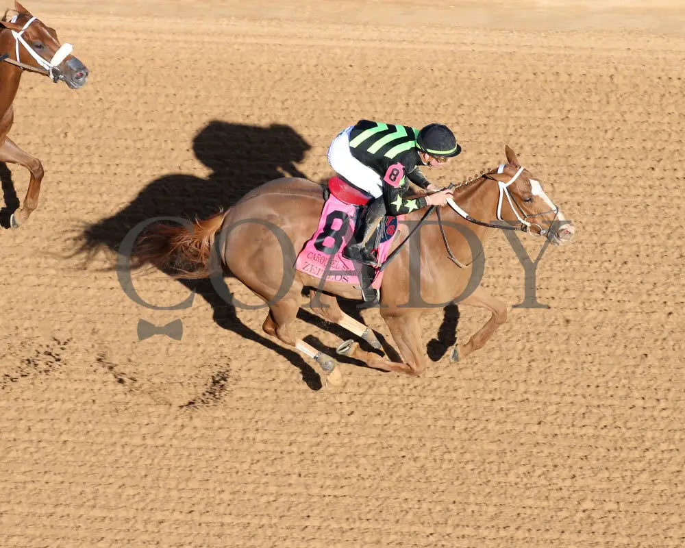 Zeitlos - Carousel Stakes 45Th Running 02-24-24 R08 Op Aerial Finish 01 Oaklawn Park