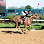 Zeitlos - Carousel Stakes 45Th Running 02-24-24 R08 Op Finish 01 Oaklawn Park