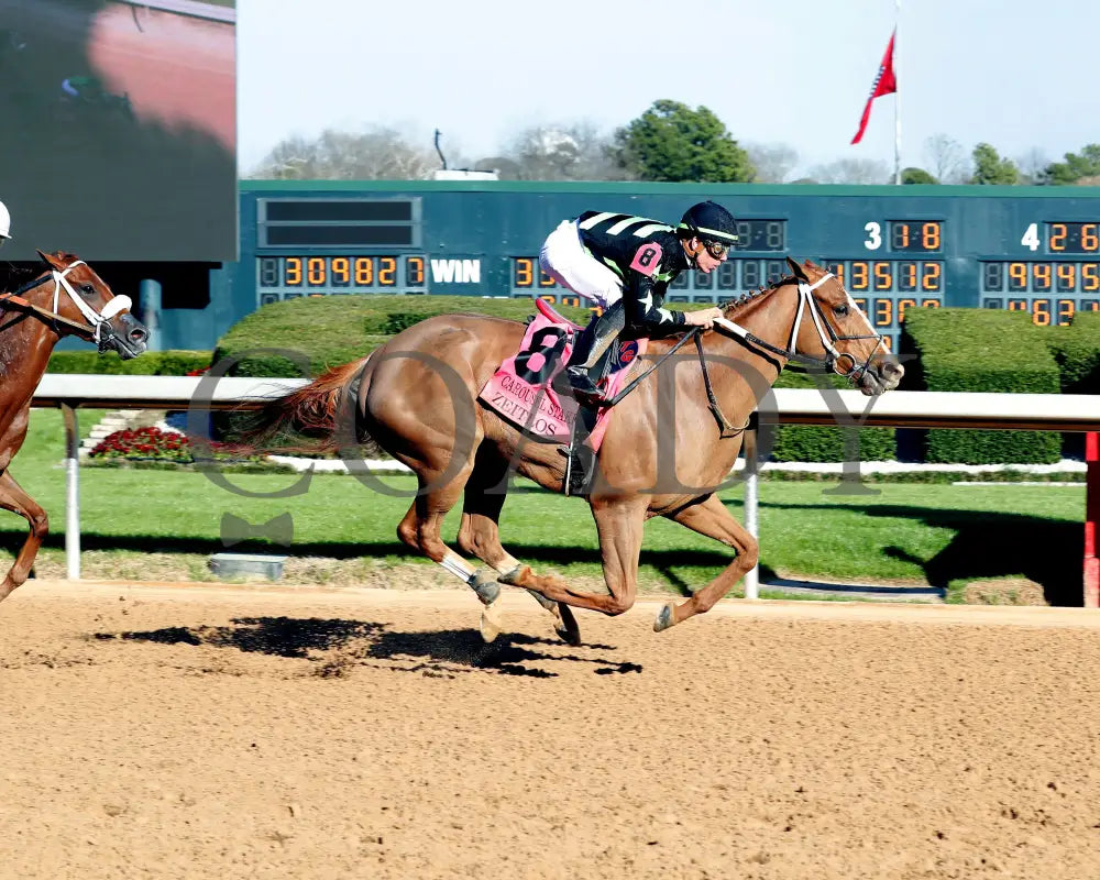 Zeitlos - Carousel Stakes 45Th Running 02-24-24 R08 Op Finish 01 Oaklawn Park