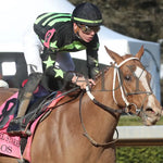 Zeitlos - Carousel Stakes 45Th Running 02-24-24 R08 Op Finish 03 Oaklawn Park