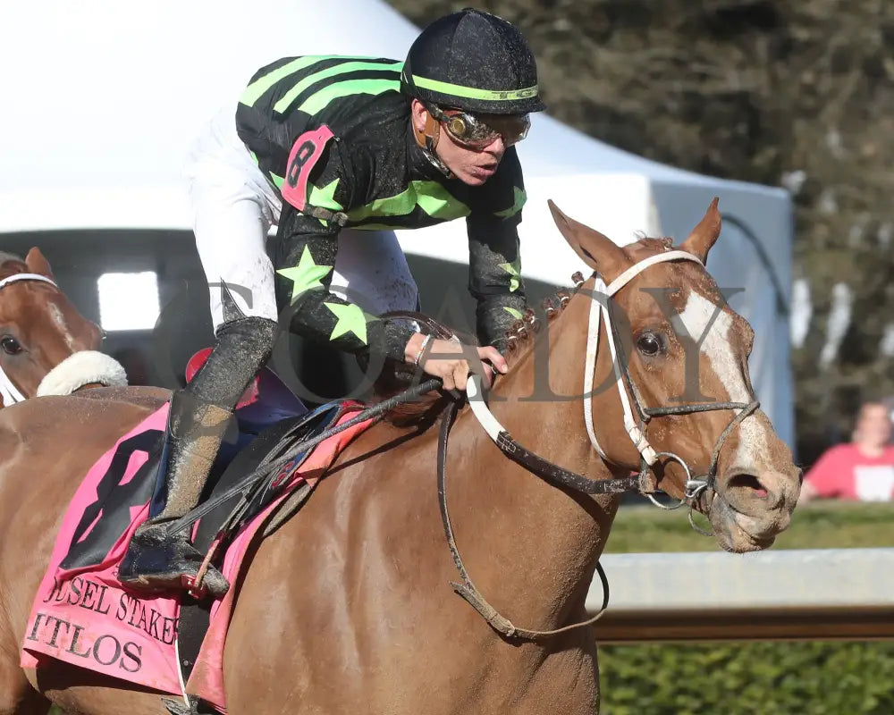 Zeitlos - Carousel Stakes 45Th Running 02-24-24 R08 Op Finish 03 Oaklawn Park