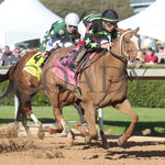 Zeitlos - Carousel Stakes 45Th Running 02-24-24 R08 Op Finish 02 Oaklawn Park