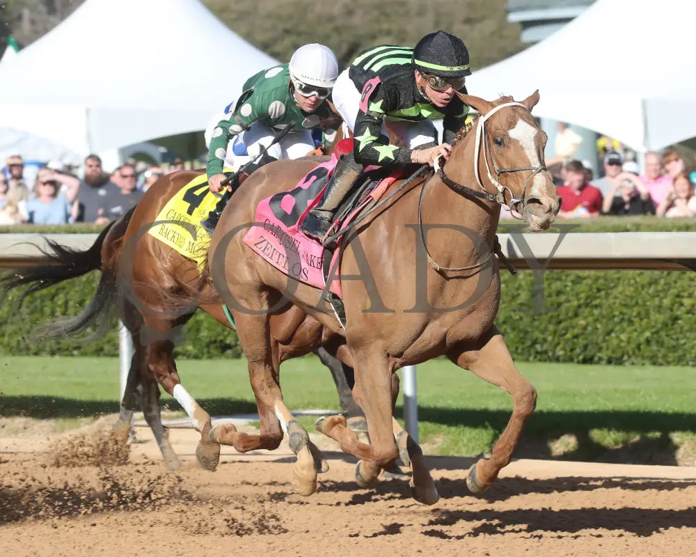 Zeitlos - Carousel Stakes 45Th Running 02-24-24 R08 Op Finish 02 Oaklawn Park