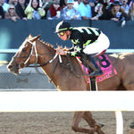 Zeitlos - Carousel Stakes 45Th Running 02-24-24 R08 Op Inside Finish 01 Oaklawn Park