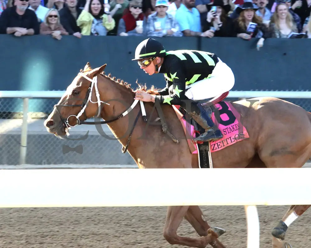 Zeitlos - Carousel Stakes 45Th Running 02-24-24 R08 Op Inside Finish 01 Oaklawn Park