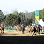 Zeitlos - Carousel Stakes 45Th Running 02-24-24 R08 Op Up Track 01 Oaklawn Park