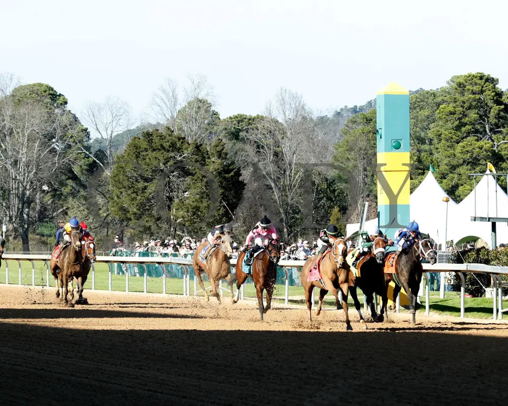 Zeitlos - Carousel Stakes 45Th Running 02-24-24 R08 Op Up Track 01 Oaklawn Park