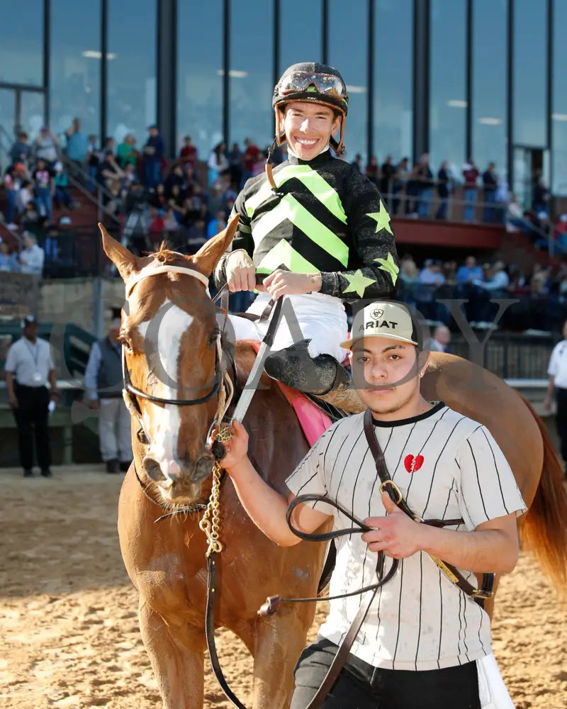 Zeitlos - Carousel Stakes 45Th Running 02-24-24 R08 Op Walk In 01 Oaklawn Park