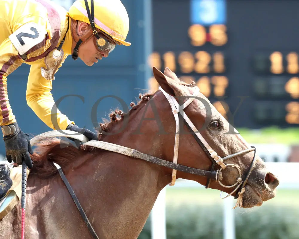 Zeitlos - The Open Mind 15Th Running 09-14-24 R05 Cd Gallop Out 01 Churchill Downs