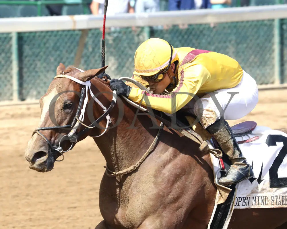 Zeitlos - The Open Mind 15Th Running 09-14-24 R05 Cd Inside Finish 01 Churchill Downs