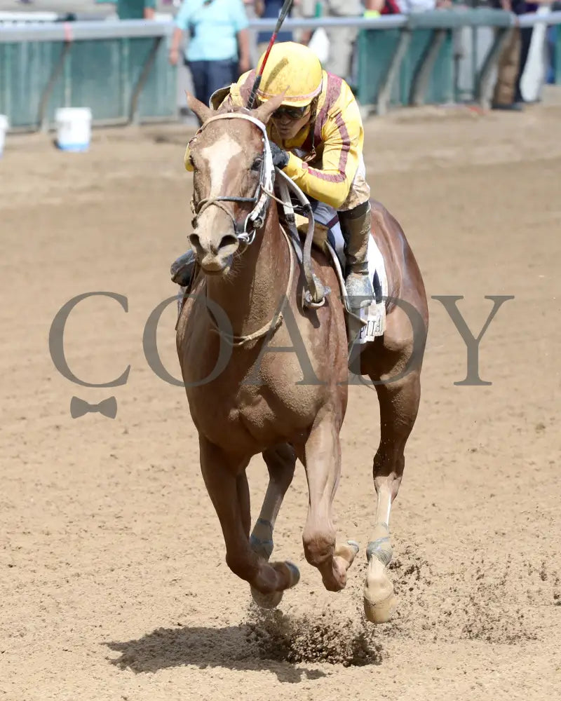 Zeitlos - The Open Mind 15Th Running 09-14-24 R05 Cd Inside Finish 02 Churchill Downs