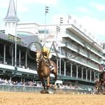 Zeitlos - The Open Mind 15Th Running 09-14-24 R05 Cd Under Rail 01 Churchill Downs