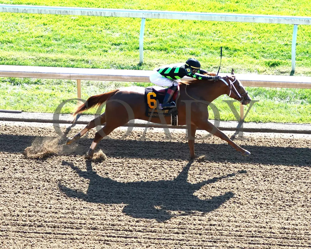 Zeitlos - The Thoroughbred Club Of America G2 10-05-24 R07 Kee Aerial Finish 01 Keeneland