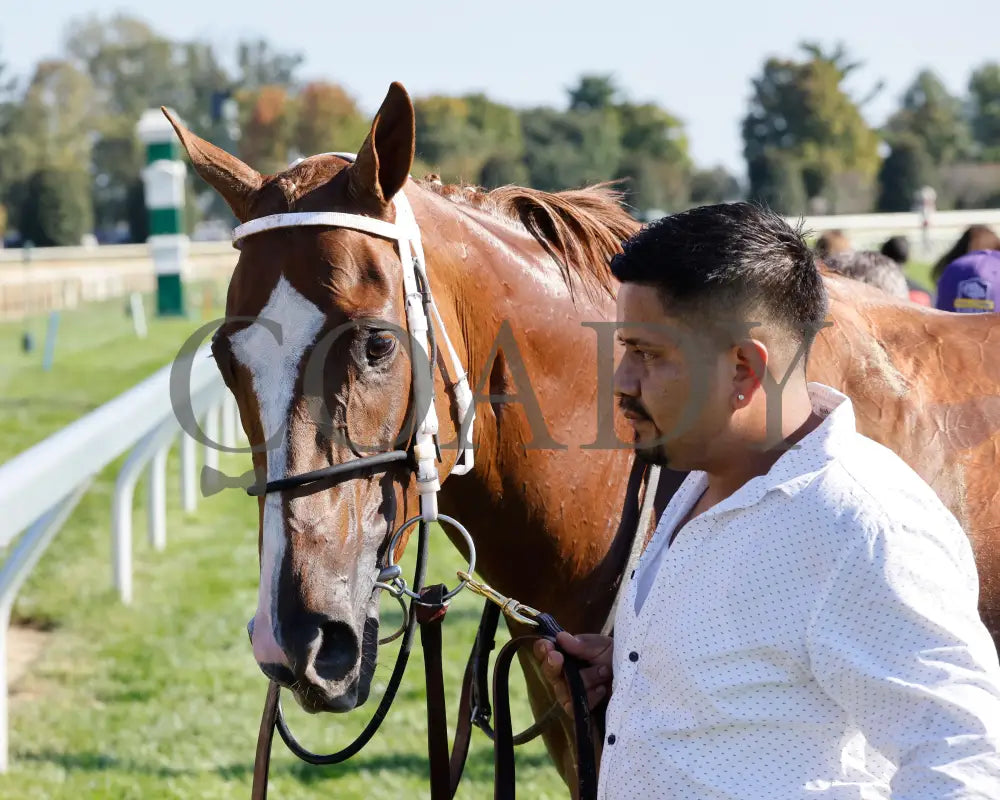 Zeitlos - The Thoroughbred Club Of America G2 10-05-24 R07 Kee Come Back 01 Keeneland