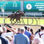 Zeitlos - The Thoroughbred Club Of America G2 10-05-24 R07 Kee Crowd Finish 01 Keeneland