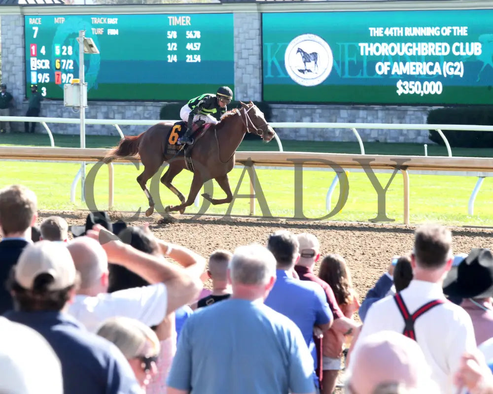 Zeitlos - The Thoroughbred Club Of America G2 10-05-24 R07 Kee Crowd Finish 01 Keeneland