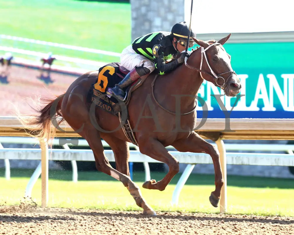 Zeitlos - The Thoroughbred Club Of America G2 10-05-24 R07 Kee Finish 02 Keeneland