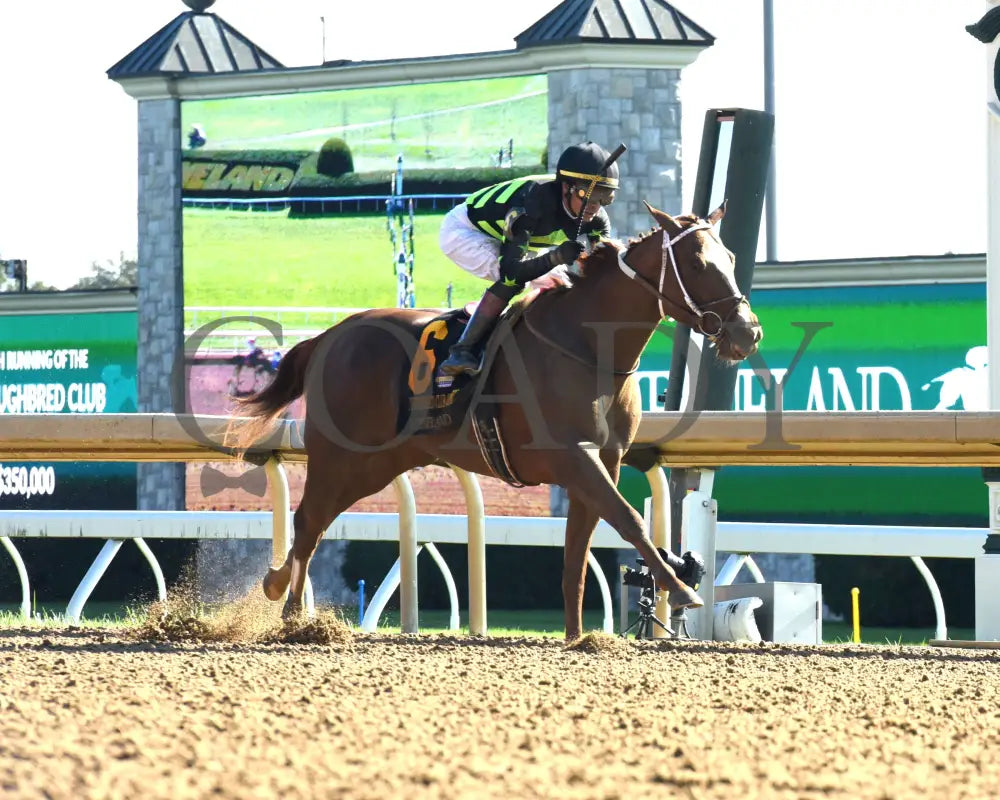 Zeitlos - The Thoroughbred Club Of America G2 10-05-24 R07 Kee Finish 03 Keeneland