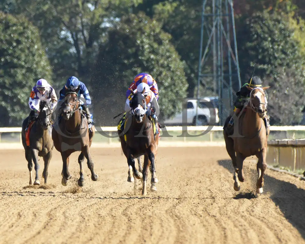 Zeitlos - The Thoroughbred Club Of America G2 10-05-24 R07 Kee Head On 01 Keeneland