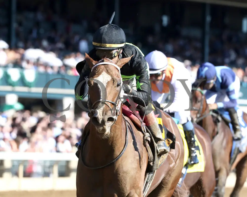 Zeitlos - The Thoroughbred Club Of America G2 10-05-24 R07 Kee Inside Finish 01 Keeneland