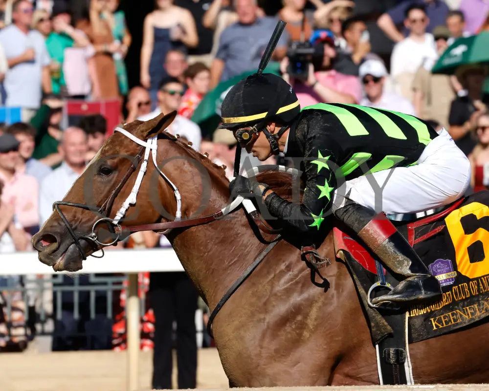 Zeitlos - The Thoroughbred Club Of America G2 10-05-24 R07 Kee Inside Finish 02 Keeneland