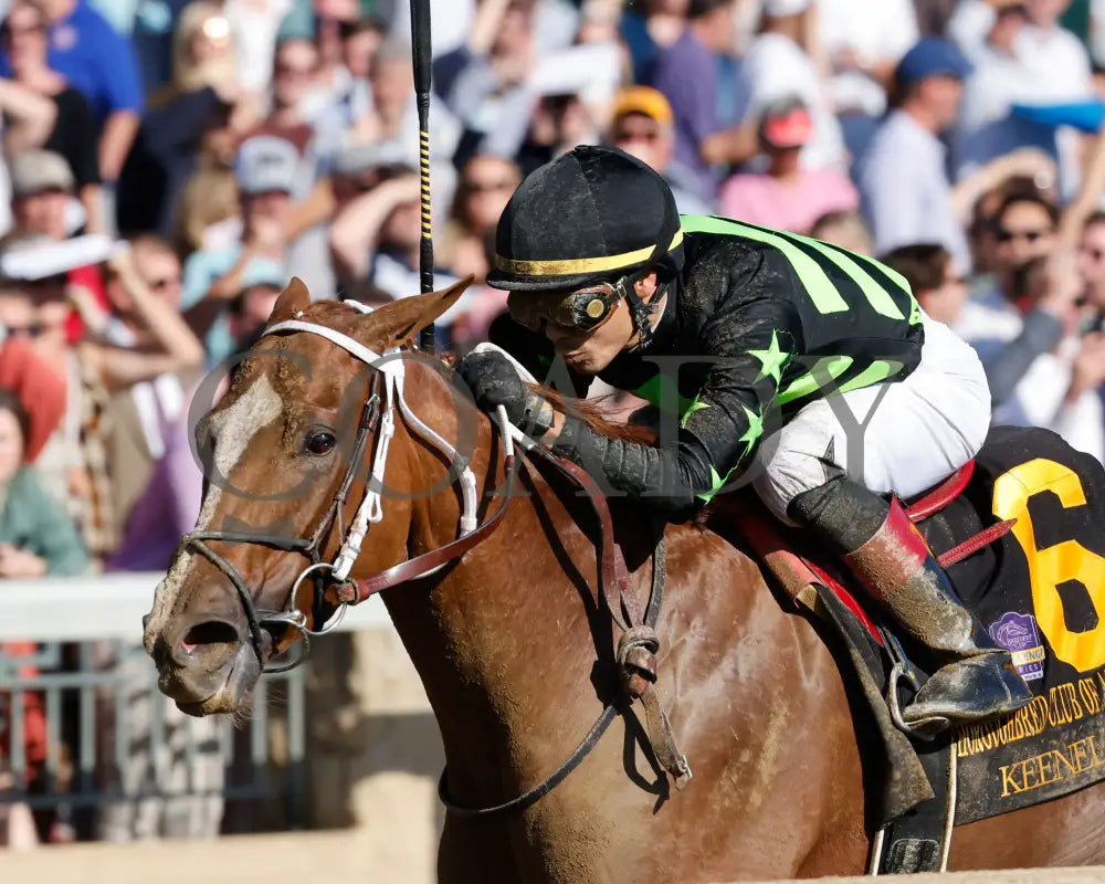 Zeitlos - The Thoroughbred Club Of America G2 10-05-24 R07 Kee Inside Finish 03 Keeneland