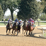 Zeitlos - The Thoroughbred Club Of America G2 10-05-24 R07 Kee Turn 01 Keeneland