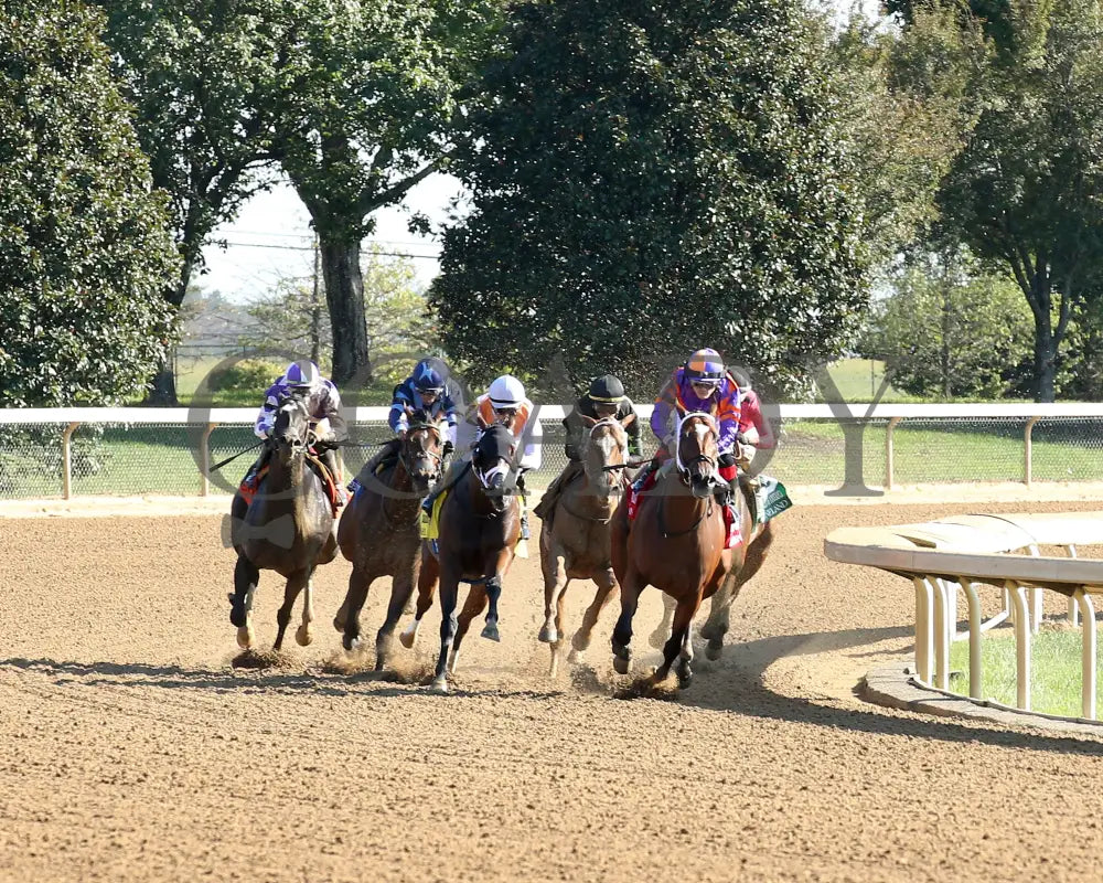 Zeitlos - The Thoroughbred Club Of America G2 10-05-24 R07 Kee Turn 01 Keeneland