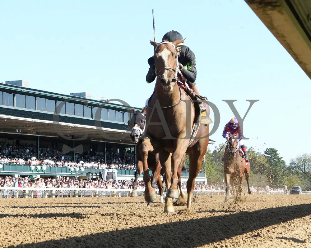 Zeitlos - The Thoroughbred Club Of America G2 10-05-24 R07 Kee Under Rail 01 Keeneland