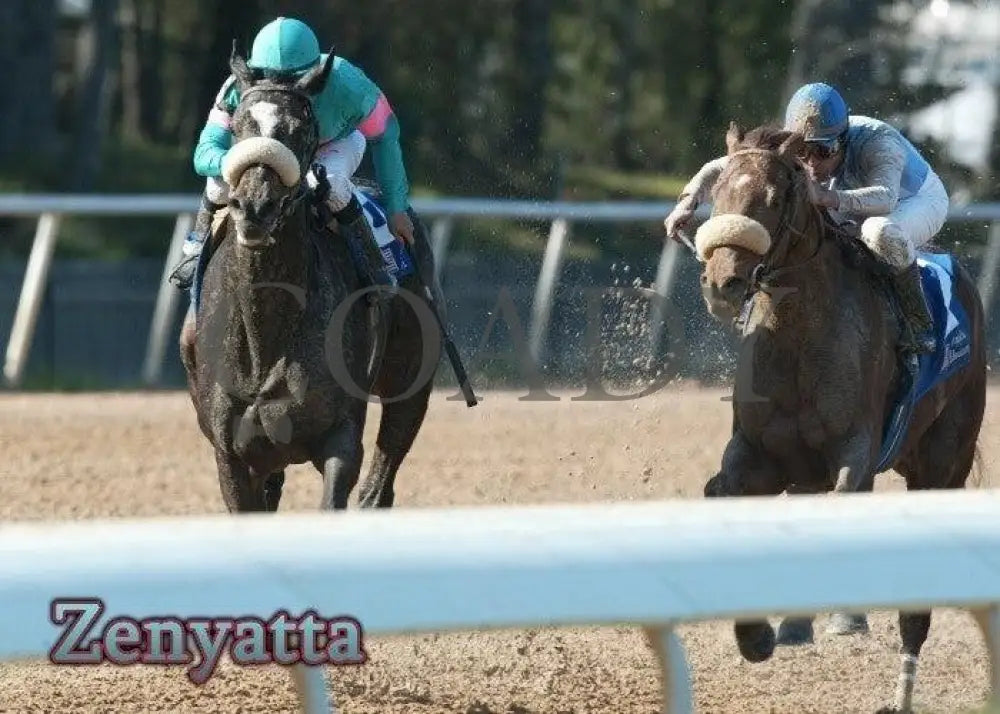 Zenyatta - The Apple Blossom Handicap Champion Horses
