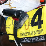 Zoomin Feature - Gordon Mobley Futurity Final 11Th Running 07-20-24 R07 Horseshoe Indiana Saddle